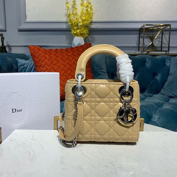Top Quality Mini Lady Bag with Chain SiTop Qualityer Hardware Spring/Summer Collection, Beige, For Women Womens Handbags, 18cm CD