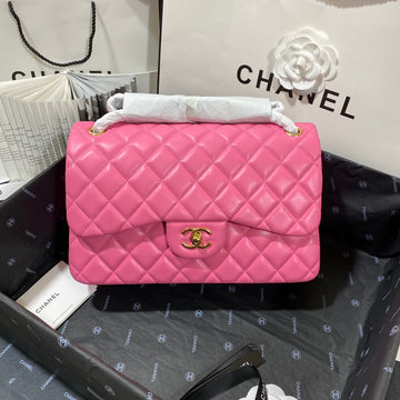 CHLLarge Classic Handbag Gold Hardware PiNike For Women Handbags, Shoulder Bags 11.8in/30cm