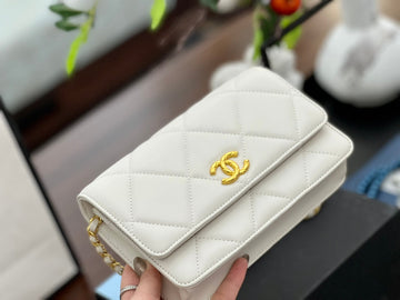 EN - New 1:1 rep  Top Quality CHL Bag 334