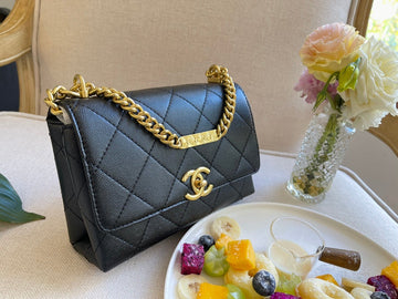 EN - New 1:1 rep  Top Quality CHL Bag 288