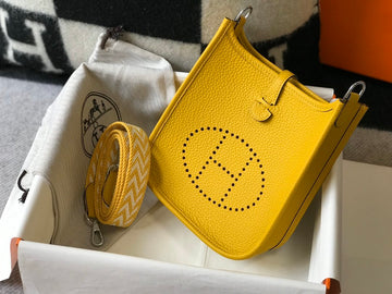 Top Quality Evelyne 16 Amazone Bag Yellow With SiTop Qualityer-Toned Hardware For Women, Shoulder And Crossbody Bags 6.3in/16cm