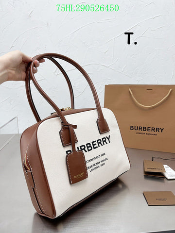 Top Quality Fashion -BBR Bags - 288