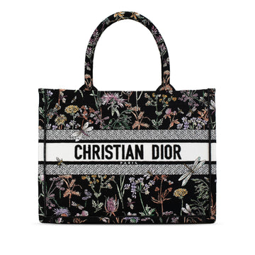 Dior Medium Embroidered Herbarium Book Tote (SHG-kasyJl)