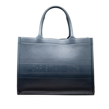 Dior Medium Ombre Embossed Leather Book Tote