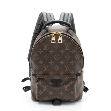 Louis Vuitton Monogram Canvas Palm Springs PM Backpack