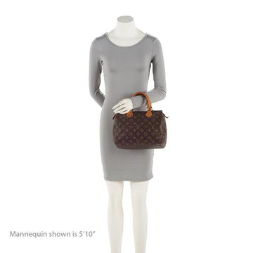 Louis Vuitton  Monogram Canvas Speedy 25 Satchel