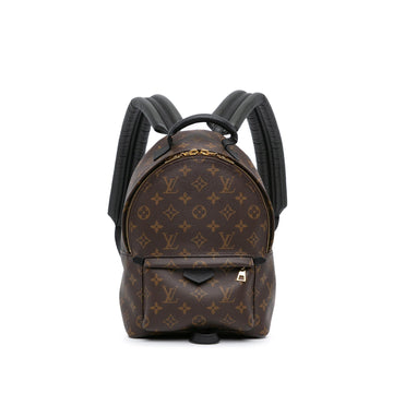 Louis Vuitton Monogram Palm Springs PM (SHG-VyZgca)